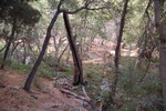 photo thumbnail #13