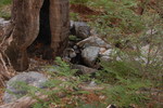photo thumbnail #14