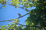 photo thumbnail #7