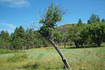 photo thumbnail #10