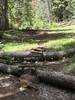 photo thumbnail #2