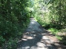 photo thumbnail #9