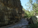 photo thumbnail #13