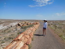 photo thumbnail #9