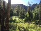 photo thumbnail #1