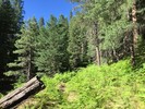 photo thumbnail #5