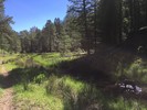 photo thumbnail #6