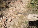 photo thumbnail #11