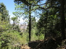 photo thumbnail #2