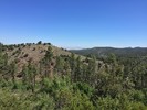 photo thumbnail #2