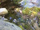 Featured Full Photo