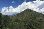 photo thumbnail #5