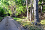photo thumbnail #8
