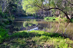 photo thumbnail #10