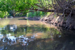 photo thumbnail #12