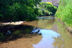 photo thumbnail #13