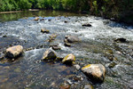 photo thumbnail #14