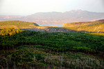photo thumbnail #13