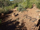 photo thumbnail #6