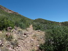 photo thumbnail #13