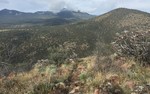 photo thumbnail #9