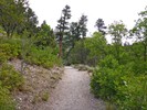 photo thumbnail #4