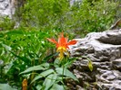 photo thumbnail #14