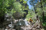 photo thumbnail #12