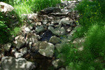 photo thumbnail #5
