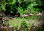 photo thumbnail #15
