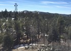 photo thumbnail #11