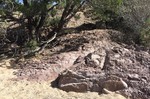 photo thumbnail #8