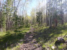 photo thumbnail #3