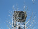 photo thumbnail #11
