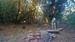 photo thumbnail #3
