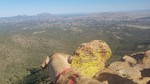 photo thumbnail #9
