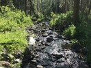 photo thumbnail #5