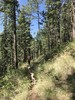 photo thumbnail #7