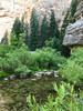 photo thumbnail #11