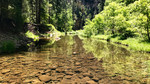 photo thumbnail #15