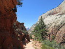 photo thumbnail #1