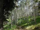 photo thumbnail #12