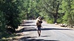 photo thumbnail #4