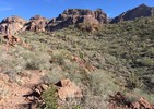photo thumbnail #7