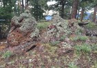 photo thumbnail #11