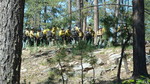 photo thumbnail #3