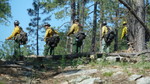 photo thumbnail #4