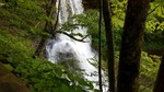 photo thumbnail #9