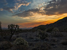 photo thumbnail #9