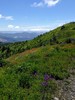 photo thumbnail #2